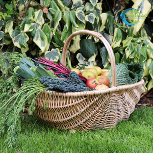 Customizable Natural RATTAN HARVEST <b>BASKET</b> PICNIC <b>BASKET</b> for Picnic, Laundry, Storage and Kitchen Organization - Product Image 6
