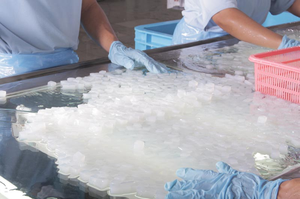 Nata de Coco con Sabor a Frutas en Sirope - Gelatina de Coco en Varios Colores para Decoraciones Vibrantes de Postres - Product Image 6