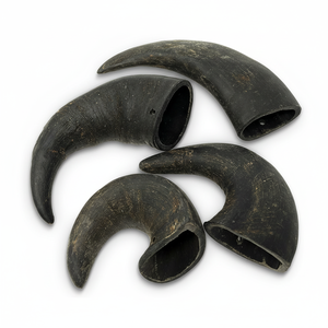 Produit phare : Artisanat de mâchoire pour chien en corne de buffle naturelle, technique artisanale brute, pour l'alimentation des animaux et la décoration intérieure - Product Image 4