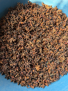 Fabricante de Vietnam suministra vainas de anís estrellado enteras secas de primera calidad y aroma intenso, envasadas en caja de 5 kg. - Product Image 5