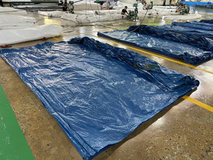 Wholesale Custom Anti-Tear PE Tarpaulin Waterproof Moisture-Proof High Quality Matte Surface Offering Cutting Plastic Sheets - Product Image 3