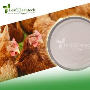 Poultry <b>Feed</b> Cocktail <b>Enzyme</b> High-Grade <b>Enzymes</b> for Animal <b>Feed</b> - Versatile Solutions From Bangalore, Karnataka, India - Product Image 2