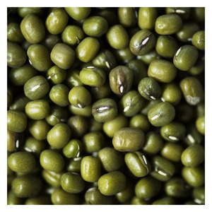 Premium Quality Green Mung <b>Beans</b> Wholesale Supplier and Exporter for International Food Importers and Distributors - Product Image 5