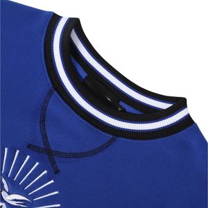 เสื้อสเวตเชิ้ตคอกลมลายตราสัญลักษณ์สีน้ำเงิน Phi Beta Sigma สำหรับผู้ชาย ทรงพอดีตัว ผ้าพรีเมียม เสื้อผ้าสำหรับสมาคมพี่น้องชาวกรีก - Product Image 4