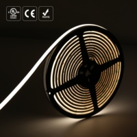 Bande LED flexible IP67 étanche extrusion Smart LED bande LED COB 12V 4000K haute CRI 90 pour les lieux publics de rue