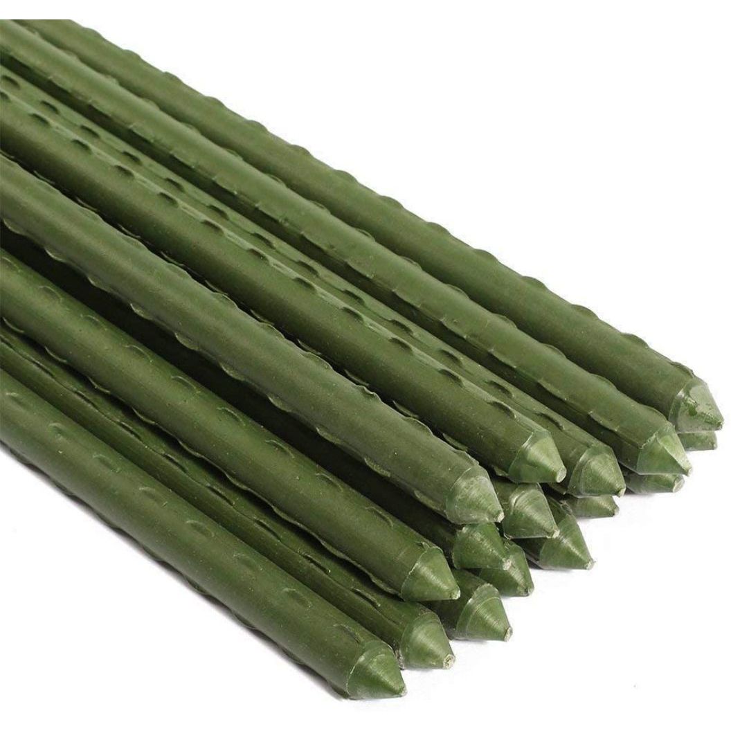 green Color