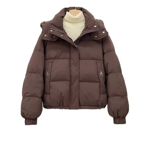 Automne hiver nouvelles femmes Parkas vers le bas coton veste à capuche rembourré Parkas vestes chaud épais manteaux vêtements d'extérieur pour femmes Streetwear - Product Image 1
