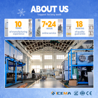 Nouveau produit personnalisé de haute qualité Machine de fabrication de glace en bloc de 3 tonnes Usine de glace industrielle
