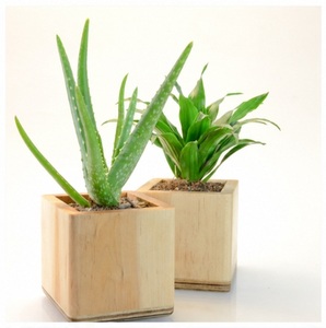 Square Natural Pine <b>Wood</b> Planter Pots Handmade Wooden Succulent Boxes for Office <b>Desk</b> Custom Logo OEM <b>Solid</b> <b>Wood</b> Flower Pot - Product Image 4
