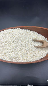 Riz Blanc Glutineux de Qualité Supérieure du Meilleur Fournisseur, 5% de Grains Cassés, Haute Qualité pour les Bienfaits pour la Santé, en Vrac, Prêt à Expédier - Product Image 6