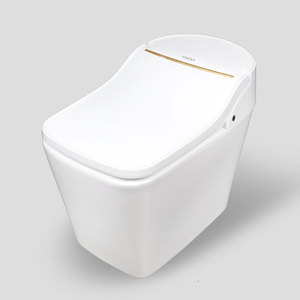 Inodoro Inteligente TREVI TST-DX5R00SS_D1 con Descarga Automática, Control Remoto, Estilo de Vida Coreano, Baño Familiar, Higiénico y Ecológico - Product Image 1