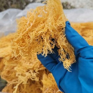 Vietnamese Wildcrafted Dried Sea Moss (Laver) Seasoned & <b>Roasted</b> <b>Bag</b> Packaging-Pure Vietnamese Goodness [Liam +84 865 912 655] - Product Image 2
