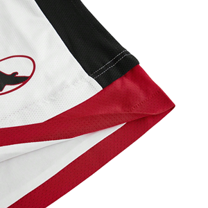 Pantalones Cortos de Muay Thai Sublimados Personalizados OEM, Pantalones de Entrenamiento de Artes Marciales de Alta Calidad, Ropa de Combate al por Mayor, Equipamiento de Gimnasio - Product Image 3
