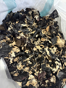 Champignons d'Oreille de Bouddha Séchés de Haute Qualité, Mycélium Noir du Vietnam, Matière Première pour le Commerce et l'Approvisionnement Alimentaire International - Product Image 6