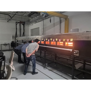 Test di Combustione Orizzontale ASTM E84 UL910 per Materiali Edili e Cavi Steiner Tunnel - Product Image 5