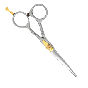 Ciseaux à cheveux en acier inoxydable de haute qualité, ciseaux de salon, lames droites, vis dorée, manche argenté pour la coupe de cheveux - Product Image 3