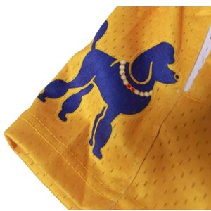 Pantalones Cortos de Baloncesto de Malla de Algodón Dorado Sigma Gamma Rho, Pantalones Cortos Deportivos Personalizados de la Hermandad Griega, Ropa Deportiva Transpirable para Equipos - Product Image 3
