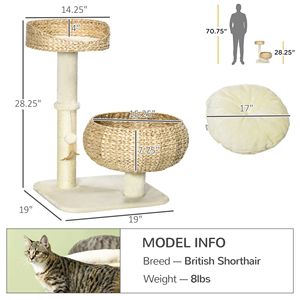 Albero per Gatti Moderno da 28 Pollici con Letto Rialzato e Tiragraffi in Sisal, Design a Cesto Carino per Gatti da Interno e Gatti di Piccola Taglia - Product Image 3