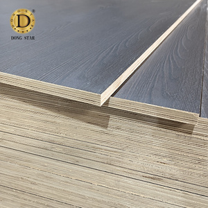 Hoja laminada Hpl <span class=keywords><strong>blanca</strong></span> de Dongstar/contrachapado laminado de <span class=keywords><strong>Formica</strong></span> HPL/contrachapado HPL ignífugo - Product Image 6