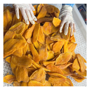 Mango Deshidratado Suave de Vietnam, Fabricante de Exportación Premium, Snack Saludable, Fruta Natural, OEM, Marca Privada, Suministro a Granel - Product Image 1