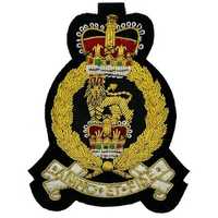 Badge de blazer personnalisé brodé à la main en fil de bouillon 3D, or et argent, qualité supérieure, patch en feutre non tissé pour blazers, casquettes et vestes