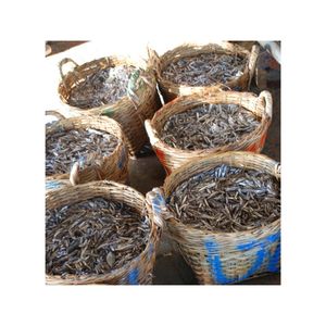 Favoris des clients : Anchois séchés à texture pure pour une expérience culturelle authentique et un soutien fiable pour la décoration intensive - Product Image 4