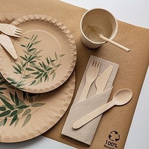 Ensemble de couverts jetables écologiques et biodégradables en bois de bouleau avec fourchette, cuillère, couteau et serviette pour la restauration aérienne et les repas en voyage - Product Image 3