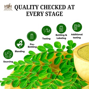 Poudre de Moringa biologique naturelle, issue de feuilles de Moringa fraîches |   Sans conservateurs, non-OGM, végétalien |   Exportateur en gros - Product Image 3