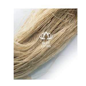 Meilleures ventes : Fibre de banane écologique et sûre, 2026, matériau végétal pur, idéale pour la fabrication de papier et de cordes, prix de gros direct - Product Image 1