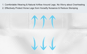 Botas de Protección para Caballos de Primera Calidad Hechas en Pakistán, 4 Piezas, Botas de Protección para Tendones y Patas de Caballo - Product Image 5