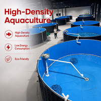 Équipement d'élevage de poissons Tilapia en PP écologique, équipement commercial d'élevage de poissons RAS, bassins de pisciculture extérieurs