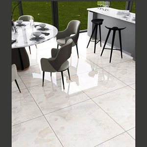 Azulejos de Porcelana con Acabado Mate Premium de 600x600 mm (24x24 Pulgadas), Azulejos de Cerámica Vitrificados Duraderos para Sala de Estar, Cocina y Baño - Product Image 1