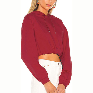 Wholesale Custom Cotton Oversized Streetwear Tracksuit Pullover <b>Workout</b> Gym Streetwear Crop Top <b>Hoodie</b> for Women - Product Image 1