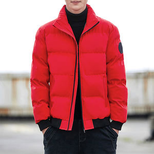 Nouvelle arrivée, veste d'hiver rembourrée en duvet de canard, à capuche, légère et chaude, avec logo personnalisé d'usine - Product Image 3