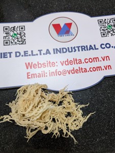 High Quality Seamoss Bulk 2026 Cheap Price Vietnam Export Supplier - Product Image 4