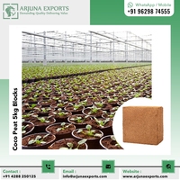 Vente en gros de blocs de 5kg de tourbe de coco coco coco coco pith