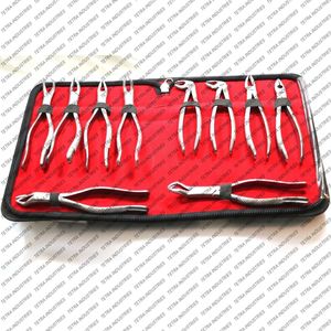 Ensemble de 10 pinces d'extraction dentaire en acier inoxydable allemand, kit de pinces d'extraction dentaire, instrument chirurgical dentaire certifié CE - Product Image 4