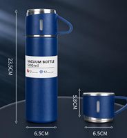 Thermos de voyage en acier inoxydable 304 de haute qualité, tasse isotherme pour pique-nique, bouteille isotherme professionnelle, ensemble cadeau en boîte