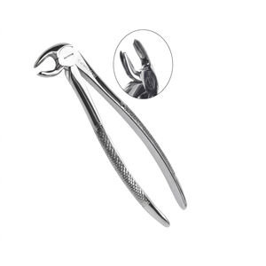 Forceps d'extraction dentaire en acier inoxydable de qualité supérieure pour molaires inférieures droites, modèle anglais, instrument chirurgical d'extraction - Product Image 2