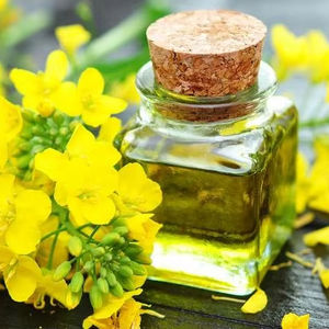 Non-Gmo Rapeseed Oil/Canola Oil 100% - Product Image 1