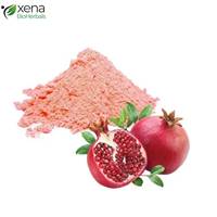 Natuurlijk Granaatappel Extract Poeder, Hoogwaardig Botanisch Fruitpoeder voor OEM Formuleringen