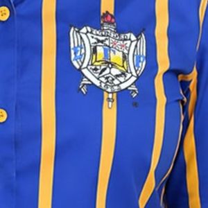 Sigma Gamma Rho Striped <b>Satin</b> Button Down Shirt Luxury Soft Silk Feel Long Sleeve Casual Fashion <b>Blouse</b> Elegant Streetwear - Product Image 5