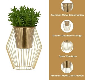 Pot de fleurs en métal doré avec support en cage métallique, pot de fleurs moderne pour salon, balcon, jardin, décoration de la maison - Product Image 4