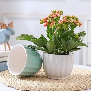 Maceta de cerámica premium con encanto decorativo atemporal. Maceta de cerámica diseñada para durar y con una belleza estética. - Product Image 3