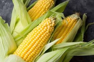 Boiled <b>Sweet</b> Corn Kernel Vacuum Packed Ready to Eat Premium Quality Wholesale - Product Image 2