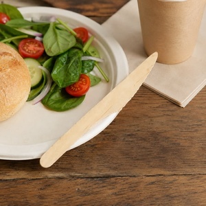 Couteau jetable en bois de bouleau biodégradable Eco Safe 155 mm pour fêtes en plein air, service de gâteaux, repas à emporter, tables de desserts, luxe - Product Image 1