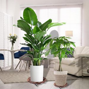 Support de plantes rond en bois avec roulettes verrouillables, support de plantes roulant robuste pour pots de fleurs d'intérieur et d'extérieur, bois rustique - Product Image 2