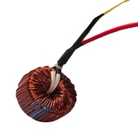 Bobine d'inductance toroïdale haute intensité 10A 20A 30A pour alimentation d'onduleur solaire, noyau en ferrite avec fil de connexion