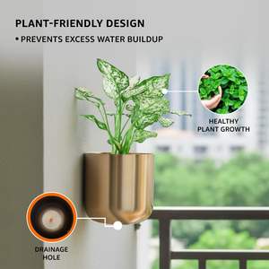 Macetas Colgantes de Hierro Natural con Acabado Dorado, Jardinera Vertical de Hierro para Flores, para Uso en Interiores y Exteriores, a Precio de Mayoreo - Product Image 4