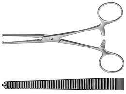 Pinzas Kocher al por Mayor, Pinzas Hemostáticas de Acero Inoxidable para Sujetar Tejidos, para Aplicaciones Clínicas - Product Image 4